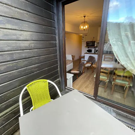 Bien Situes Avec Terrasse Le Mont-Dore