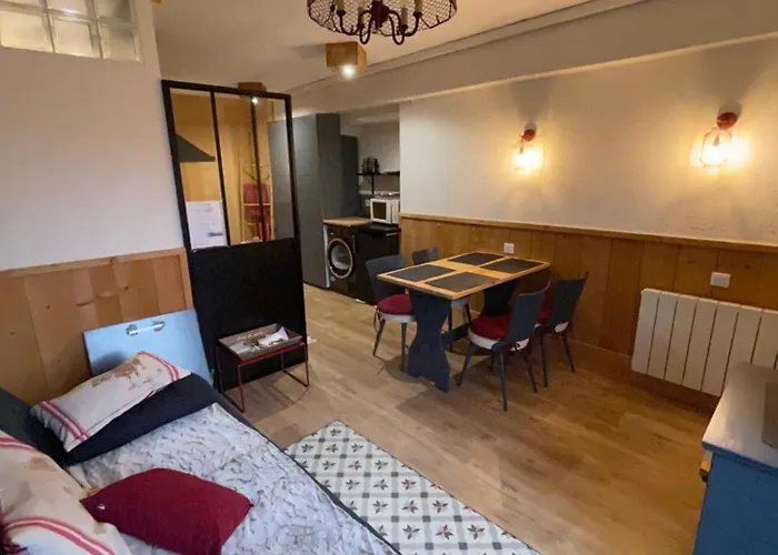 Bien Situés Avec Terrasse Appartement Le Mont-Dore